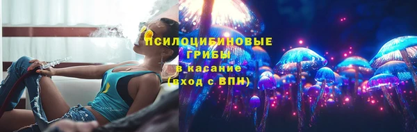 эйфоретик Богданович